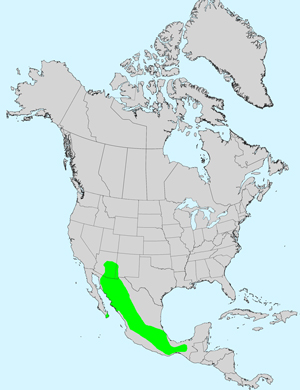 North America species range map for Bidens aurea: Click image for full size map